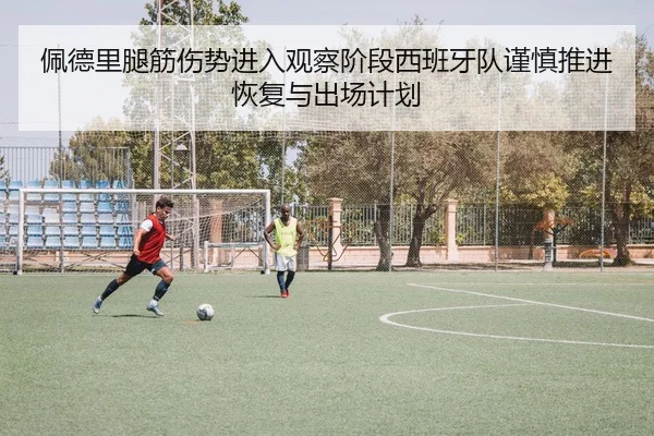 佩德里腿筋伤势进入观察阶段西班牙队谨慎推进恢复与出场计划