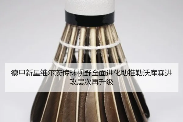 德甲新星维尔茨传球视野全面进化助推勒沃库森进攻层次再升级
